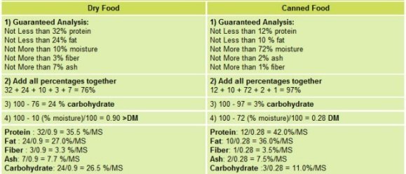 canine cancer diet