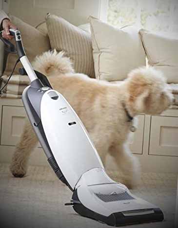 best vacuum for pet hair