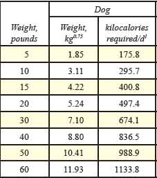 dog calorie requirements