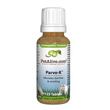 remedy for parvo