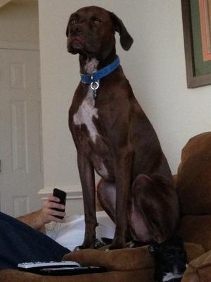 Sitting pretty 