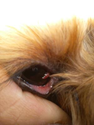 it just seems to move around..like an eye booger