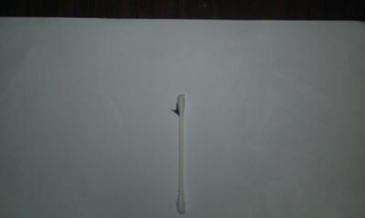 this is the thorn